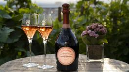 Imagen principal de la ficha